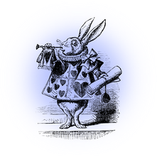 Dancer's Platform • Cat Walk • DJ Desk • Bard Stage